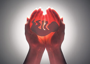 «Люблю такие professions de foi»