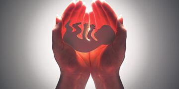 «Люблю такие professions de foi»