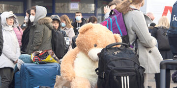 «Люблю такие professions de foi»