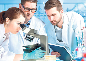 «Люблю такие professions de foi»