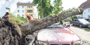 Джинсовый император
