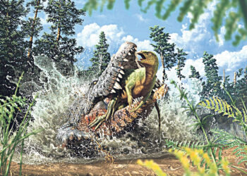 Курьёзные события прошедшей недели