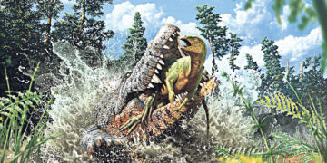 Курьёзные события прошедшей недели