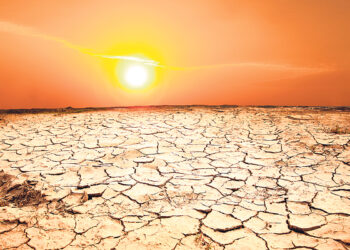 Курьёзные события прошедшей недели