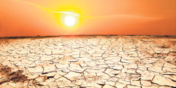 Курьёзные события прошедшей недели