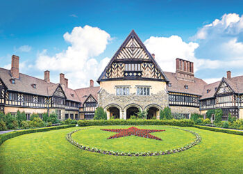 Курьёзные события прошедшей недели