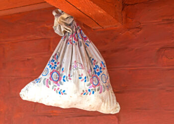 Курица  с писаной торбой