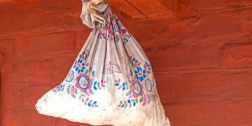 Курица с писаной торбой