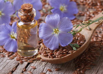 Голубой лён