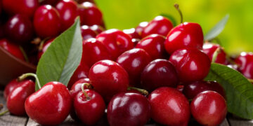 Не черешней единой