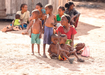 Германия выделит 880 млн евро  на борьбу с голодом в мире