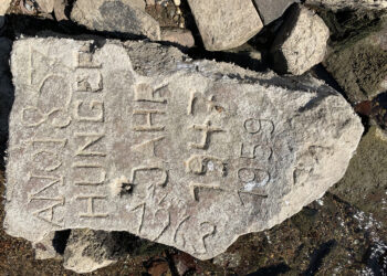 Жизнь снова станет красочной