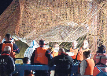 В реке Сене пытались спасти  арктического кита