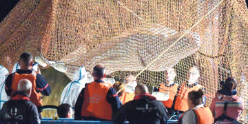 В реке Сене пытались спасти  арктического кита