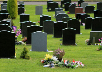 Ожидаемая продолжительность жизни сокращается