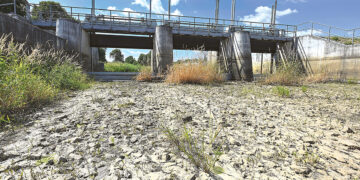 Шпрее  опять течёт вспять