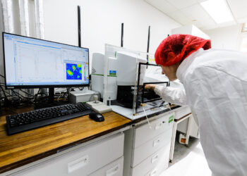 Учёные впервые  обнаружили микропластик в листьях растений