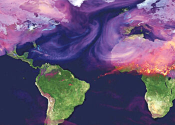 ЕКА запустит спутник для изучения биомассы лесов