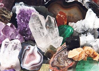 Ворон и кровь барса