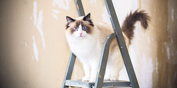 Но трогать её не моги!