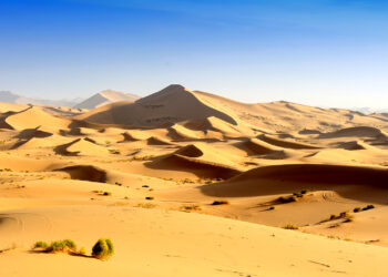 Богатая  беднячка