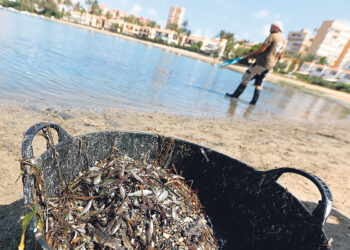 Первая экологическая  система Европы с правами