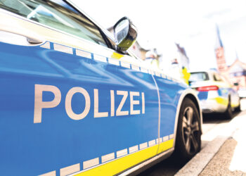 Штраф за демонстрацию символа Z