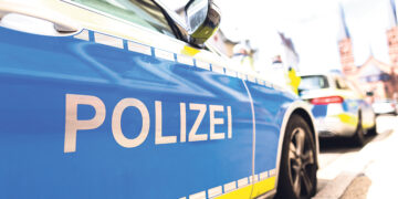 Штраф за демонстрацию символа Z