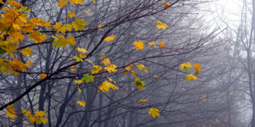 Ну что, по бокальчику мартини?