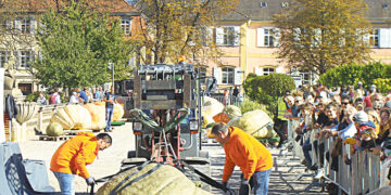 Тыквы весом в тонну