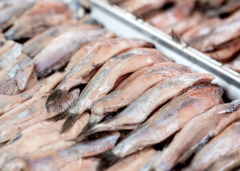 Девушка-селёдка