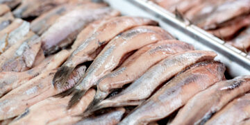 Девушка-селёдка