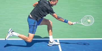 Медведев вернулся?