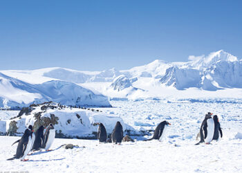 В Антарктиде обнаружена крупная подлёдная река