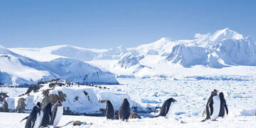 В Антарктиде обнаружена крупная подлёдная река