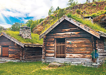 И снится нам трава, трава на доме