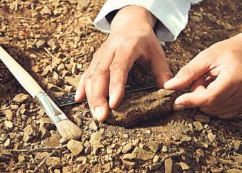 В Африке обнаружены каменные орудия возрастом около 3 млн лет