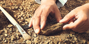 В Африке обнаружены каменные орудия возрастом около 3 млн лет