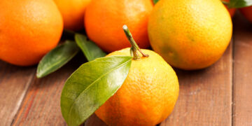 Подарок от монаха