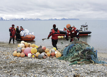 В Арктике перебор европейского мусора