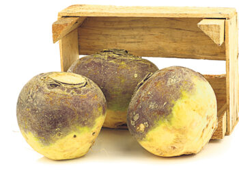 Кто чешет про репу Путину?