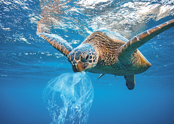 Достигнуто соглашение о защите Мирового океана