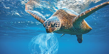 Достигнуто соглашение о защите Мирового океана