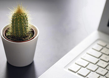 Наш защитник кактус