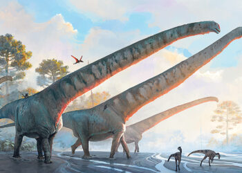 Найденный в Китае динозавр обладал самой длинной шеей