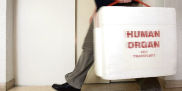 Первый приговор по закону о рабстве ожидается в Британии