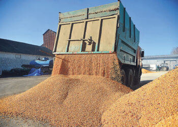 Страны Евросоюза блокируют поставки украинского зерна