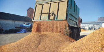 Страны Евросоюза блокируют поставки украинского зерна