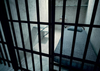 От сумы и от кутузки не зарекайся