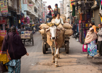 Индия обгонит Китай по населению в этом году